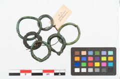 Foto von Bronzering (NHMW-PRAE-026137)